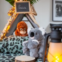 Jungle